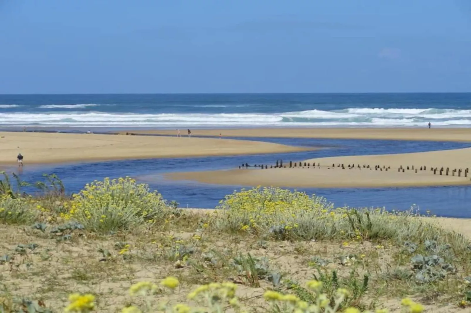 Villas Club Royal Aquitaine 3-Areas within 20km in summer
