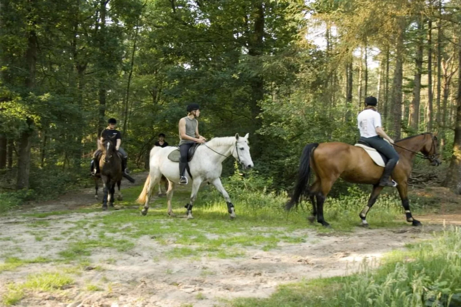 Buitenplaats Gerner 8-Areas within 20km in summer