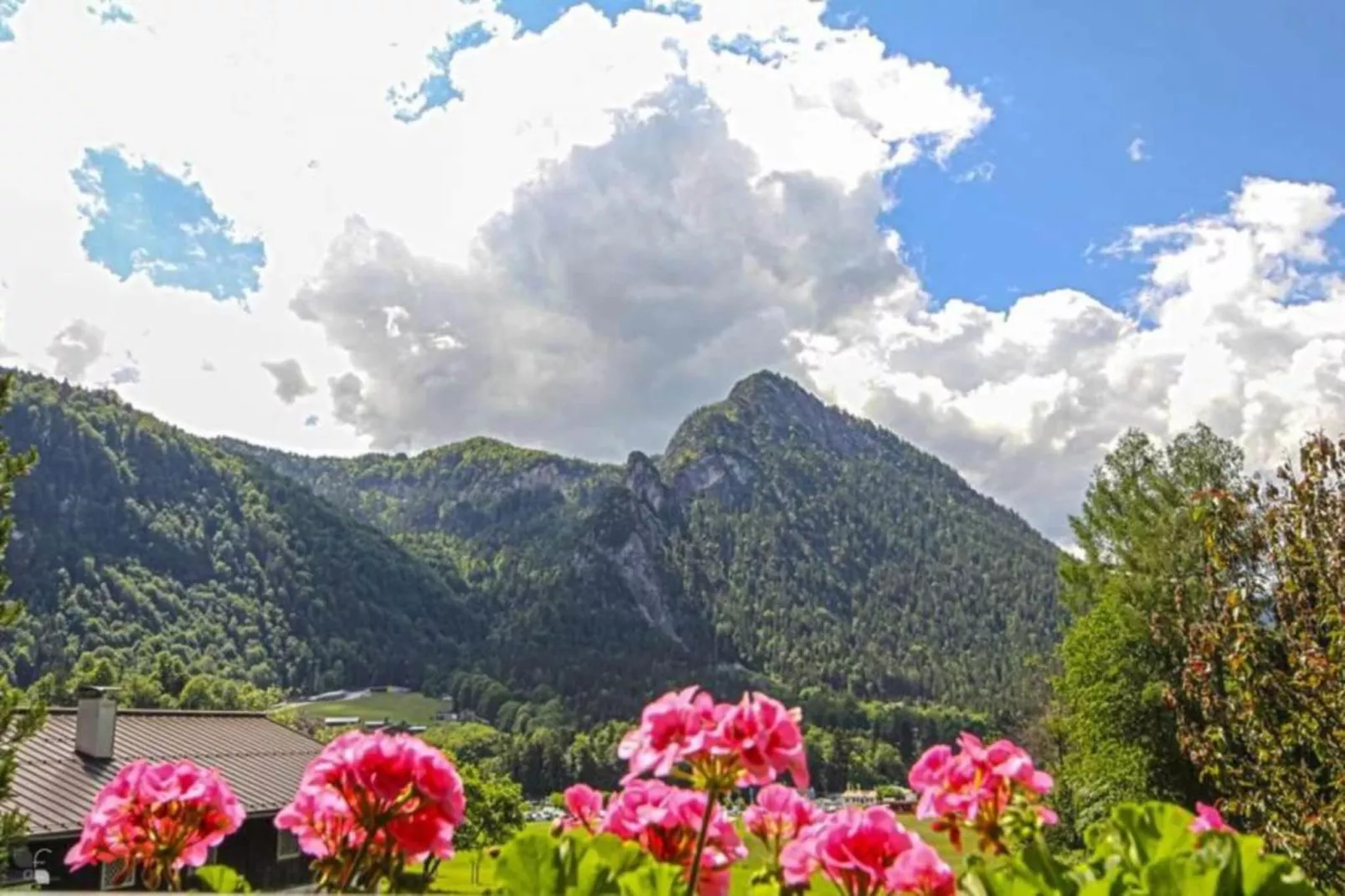 Toni Apartment 3 -45 qm-Areas within 20km in summer