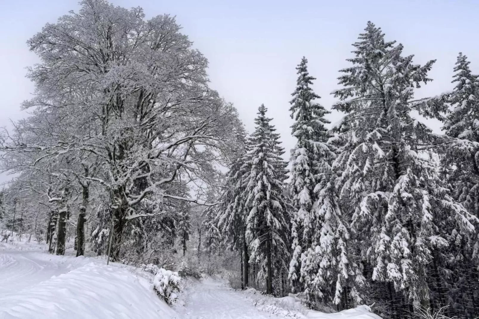 Ferienhaus Anna-Zones hiver à 5 km
