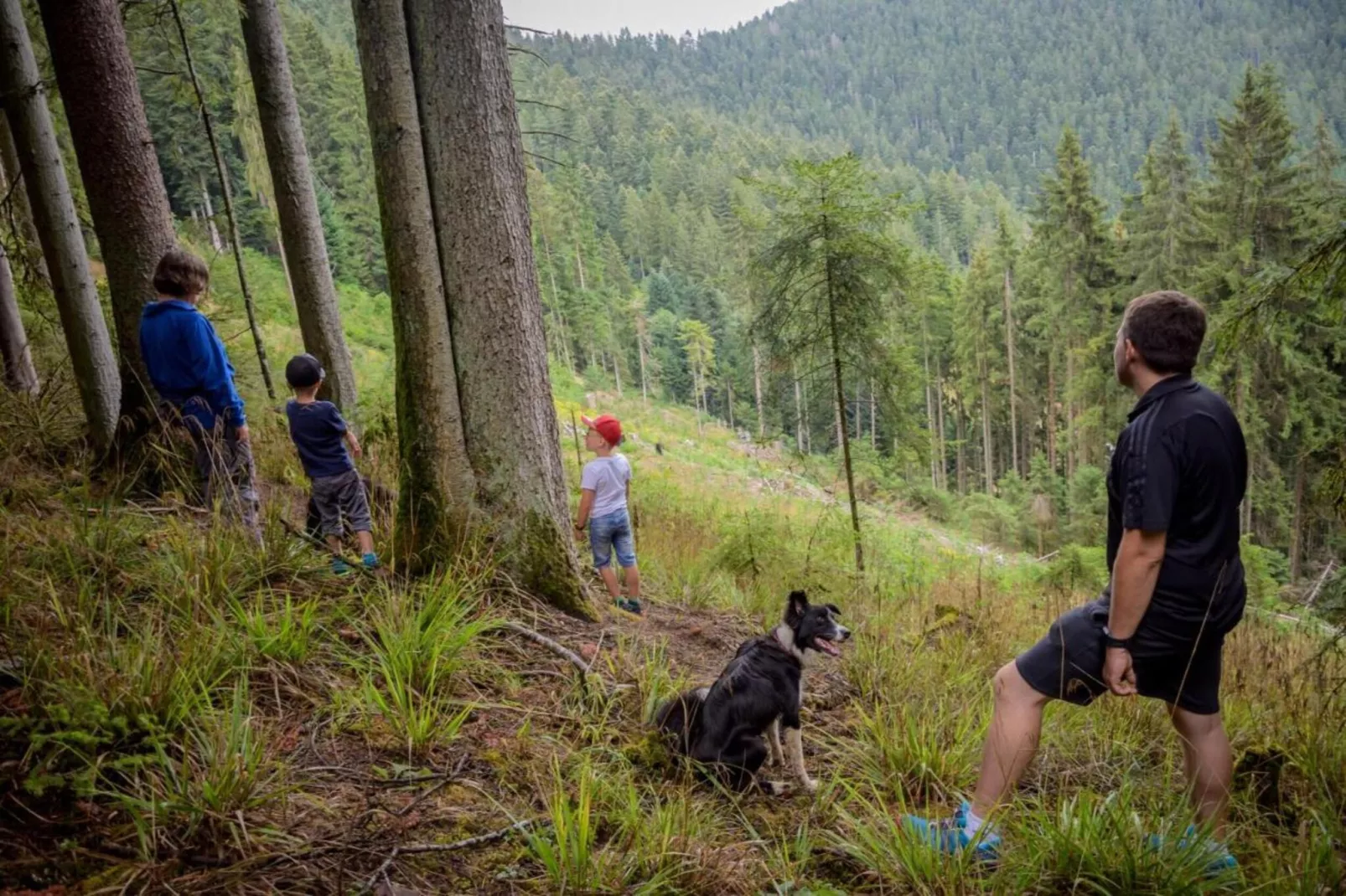 Im Ländle-Gebiete Sommer 20 km