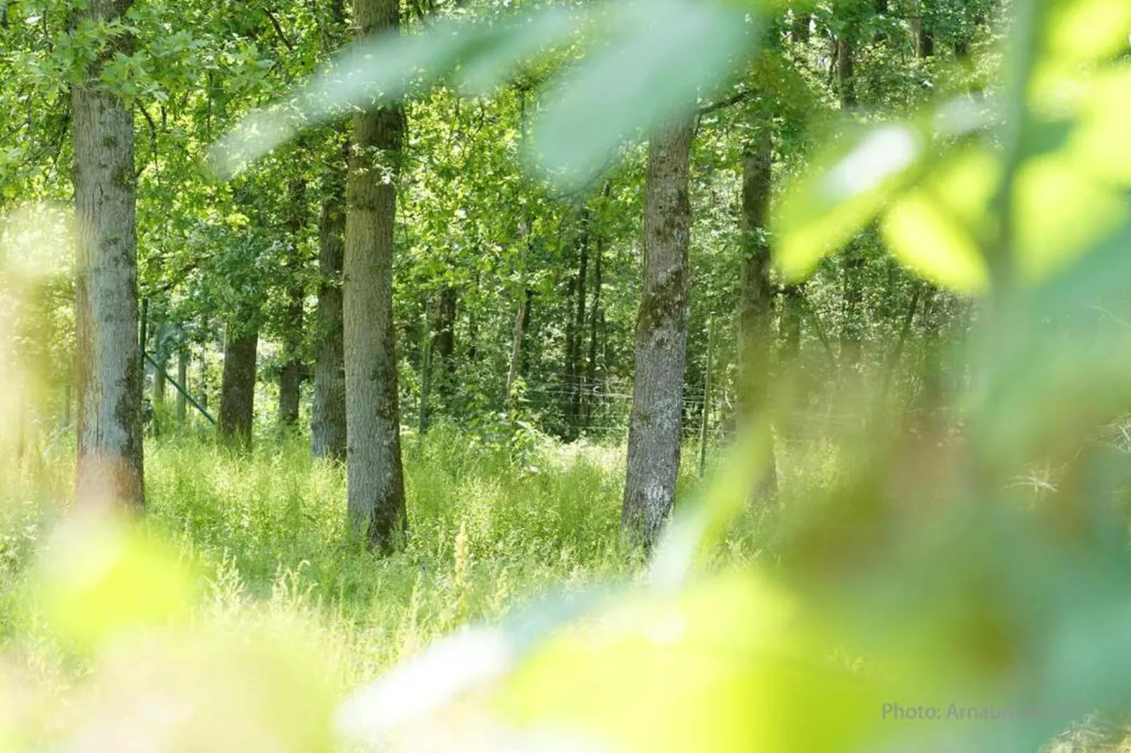 Sommette-Areas within 20km in summer