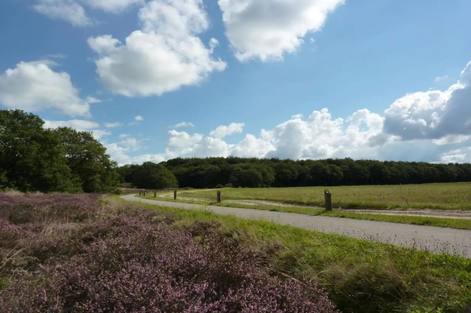 Glamping Resort Lauwersmeer 3-Areas within 20km in summer