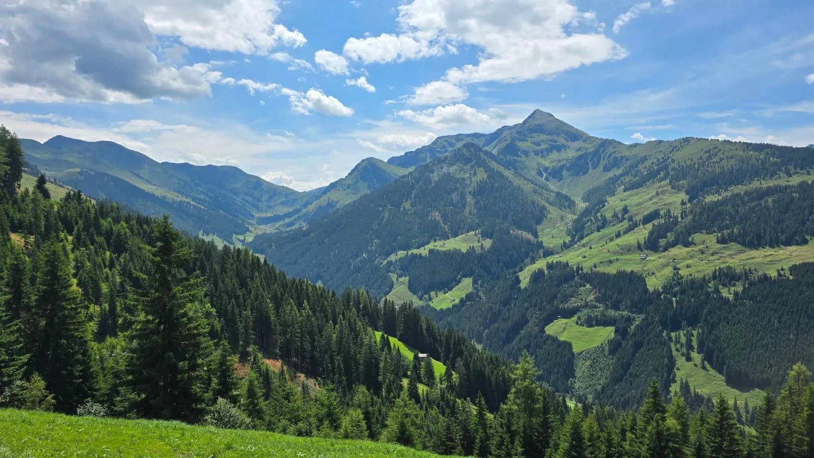EAGGA-Niederleger Alm-Vue d'été