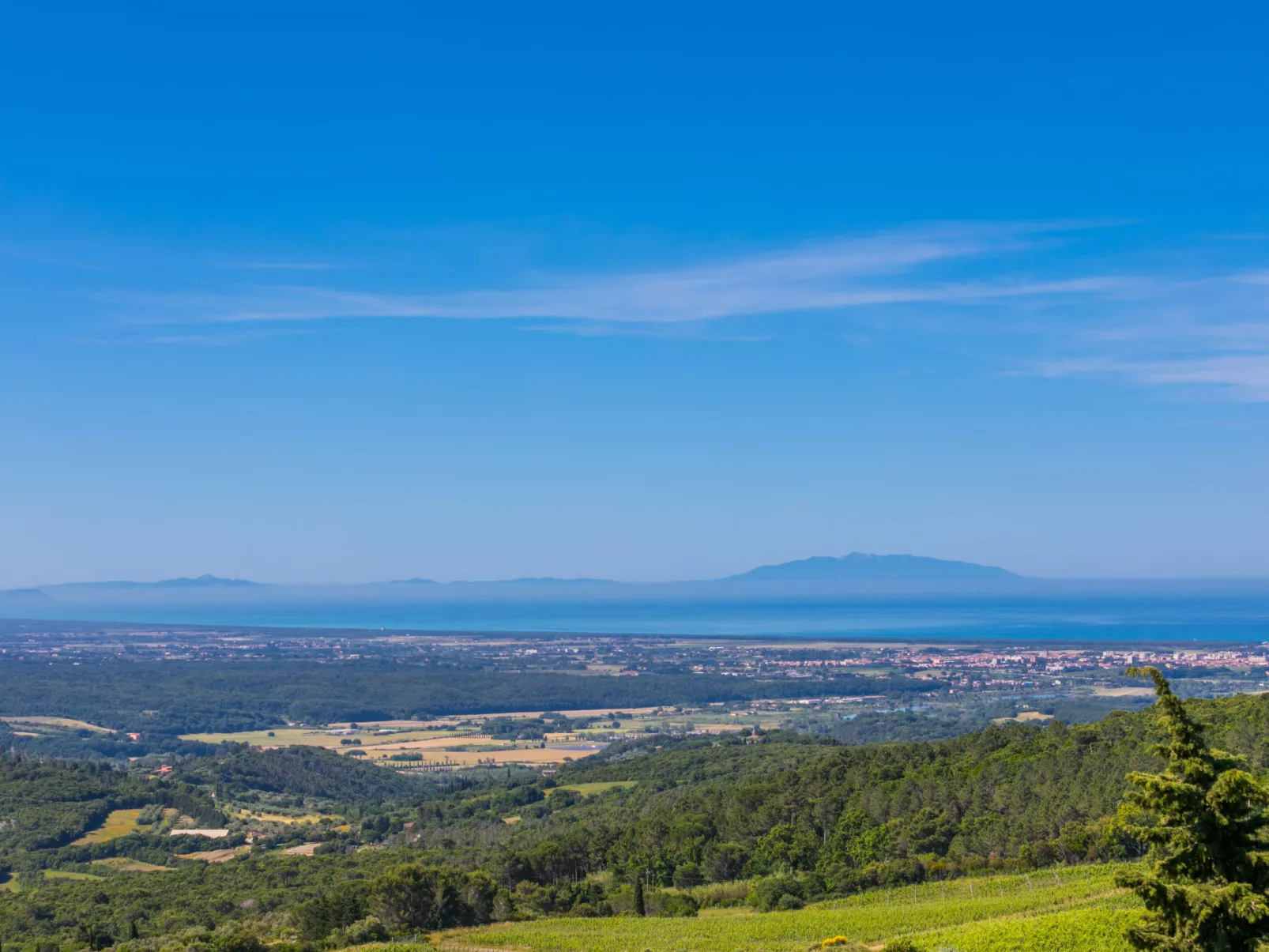 Poggio di Nocola-Draußen