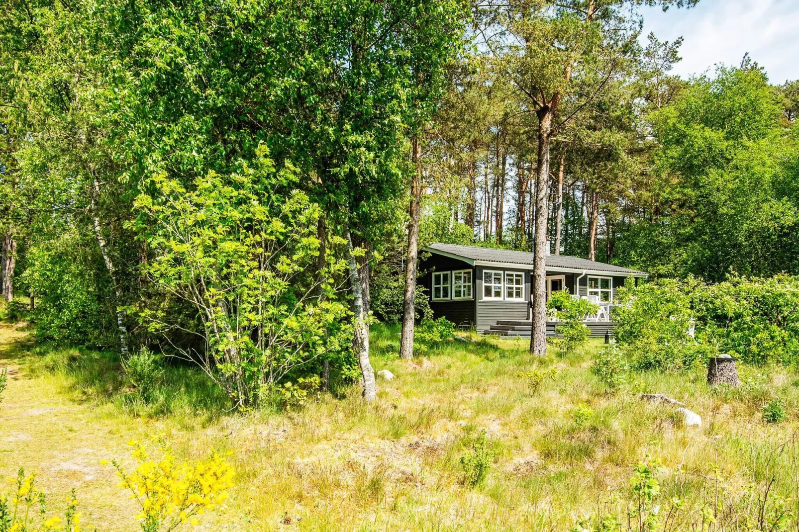 6 person holiday home in Bording-By Traum-View