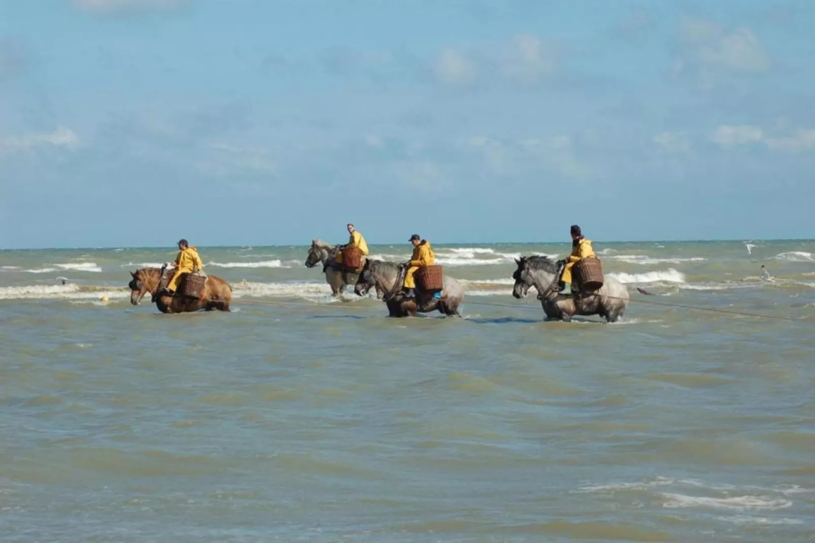 Ter panne 103-Areas within 1km in summer