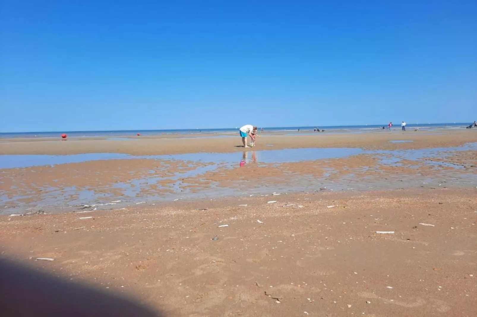 De Baak II 302-Areas within 1km in summer