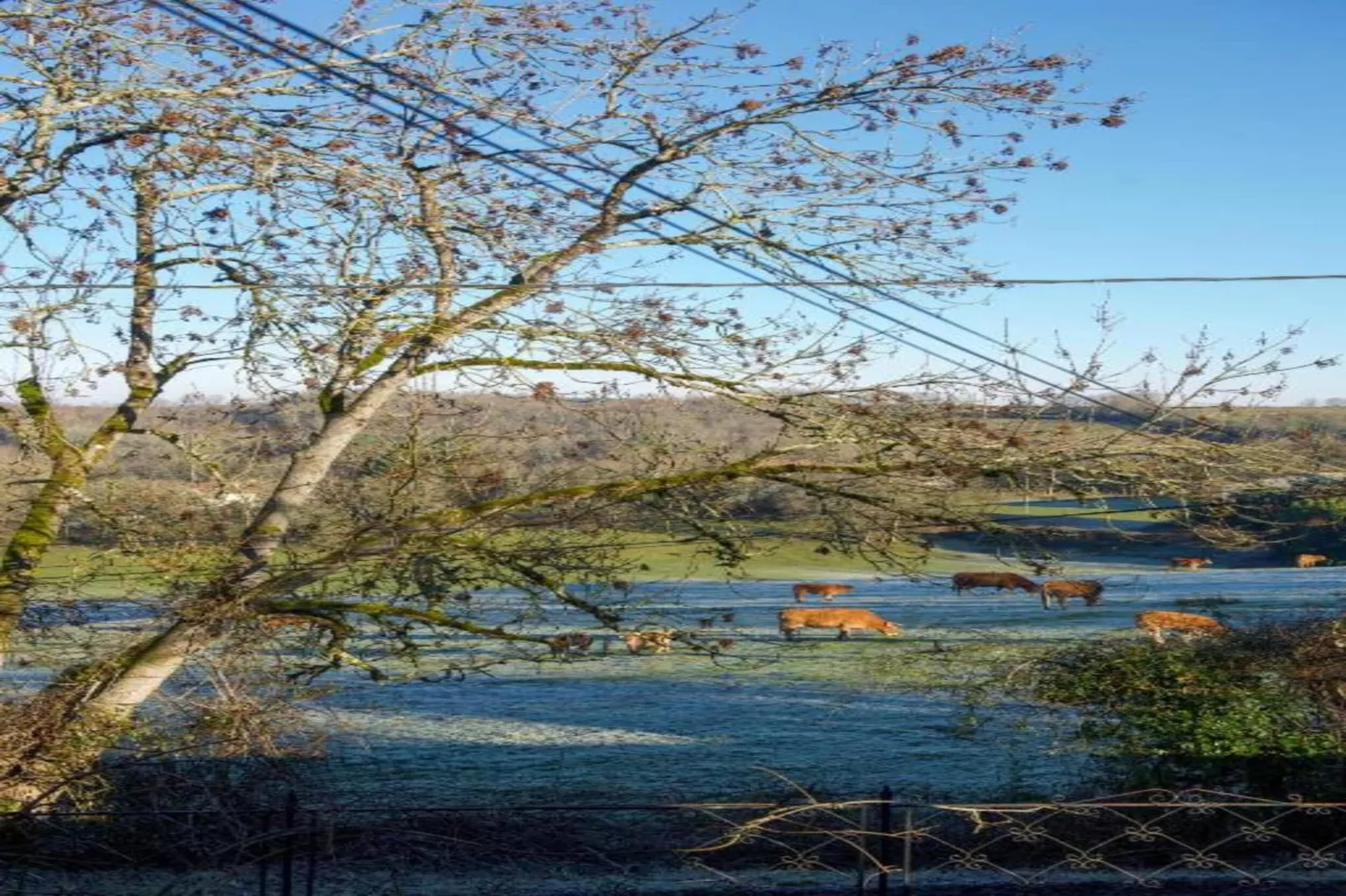 Le Chiquedou-Areas within 20km in summer