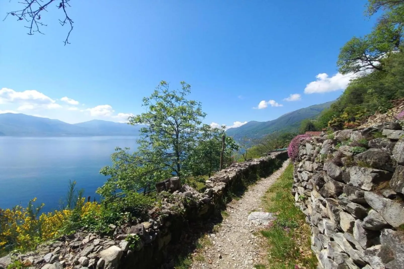 Vigneto A1-Areas within 20km in summer