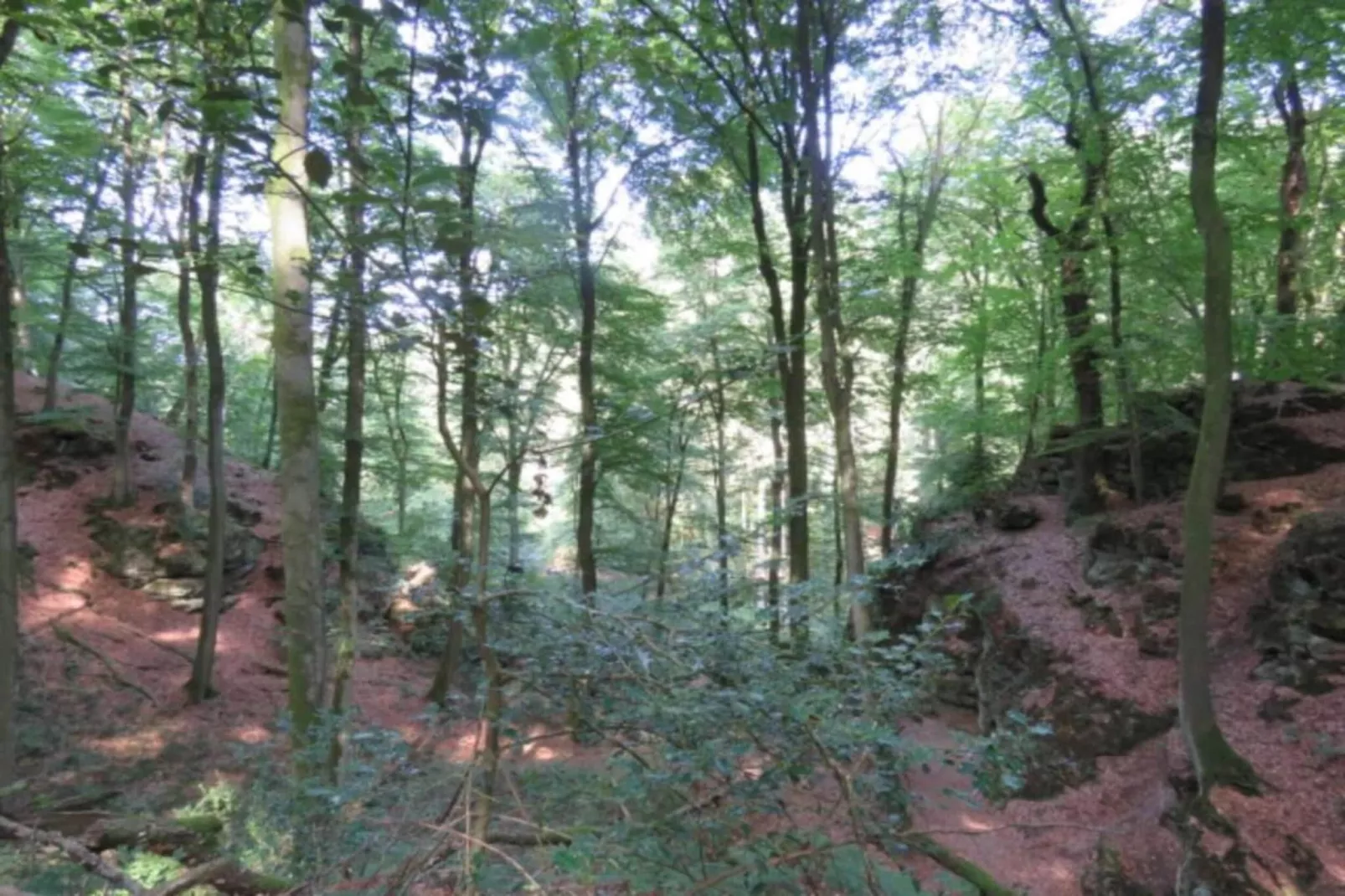 Resort Nommerlayen 3-Areas within 20km in summer
