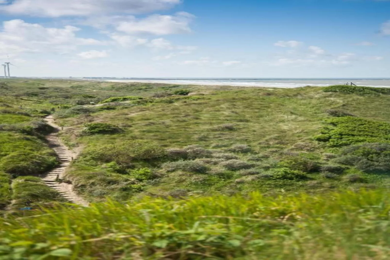Resort Beach Houses Wijk aan Zee 4-Zones été à 20 km
