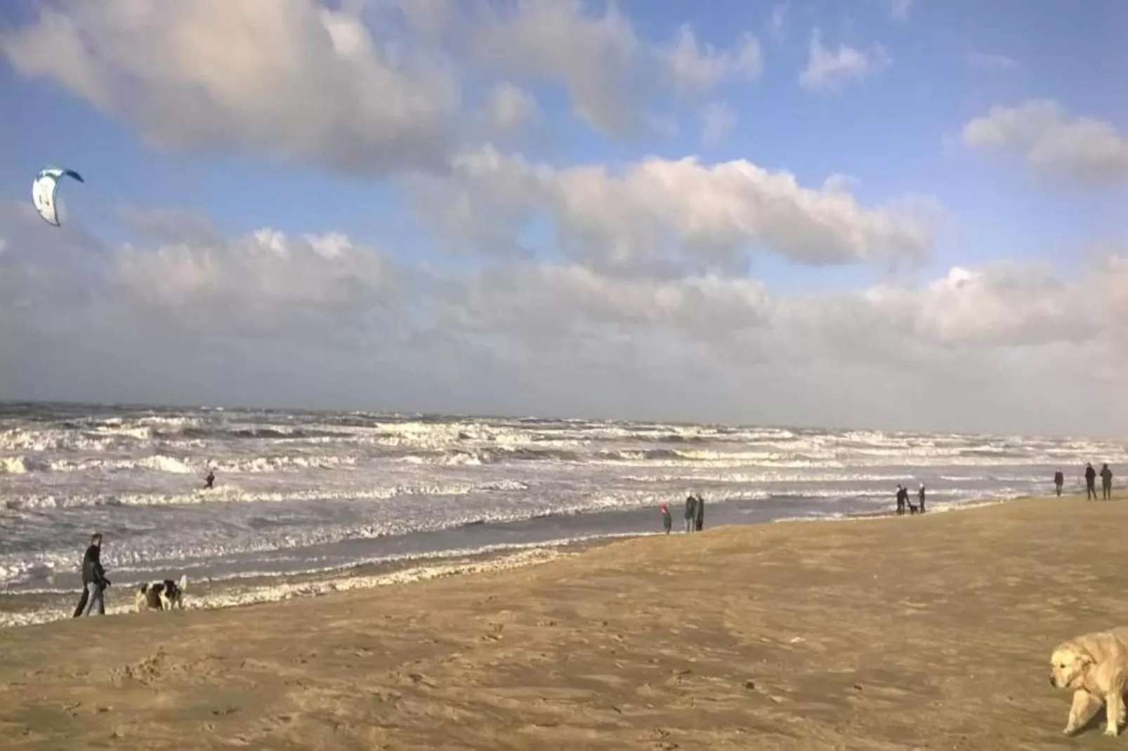 Resort Beach Houses Wijk aan Zee 6-Gebiete Sommer 20 km