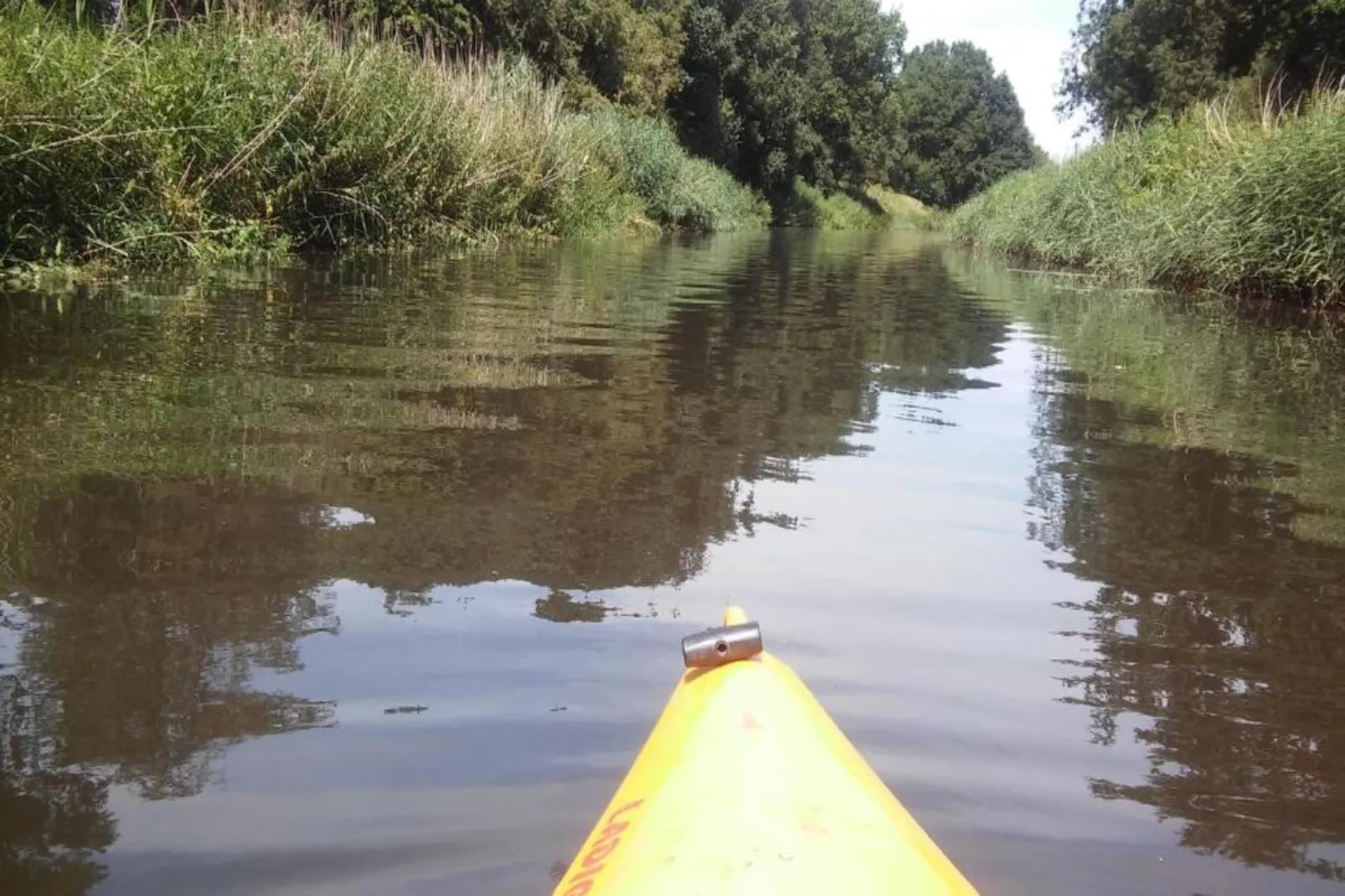 Landgoed De IJsvogel 12-Zones été à 20 km