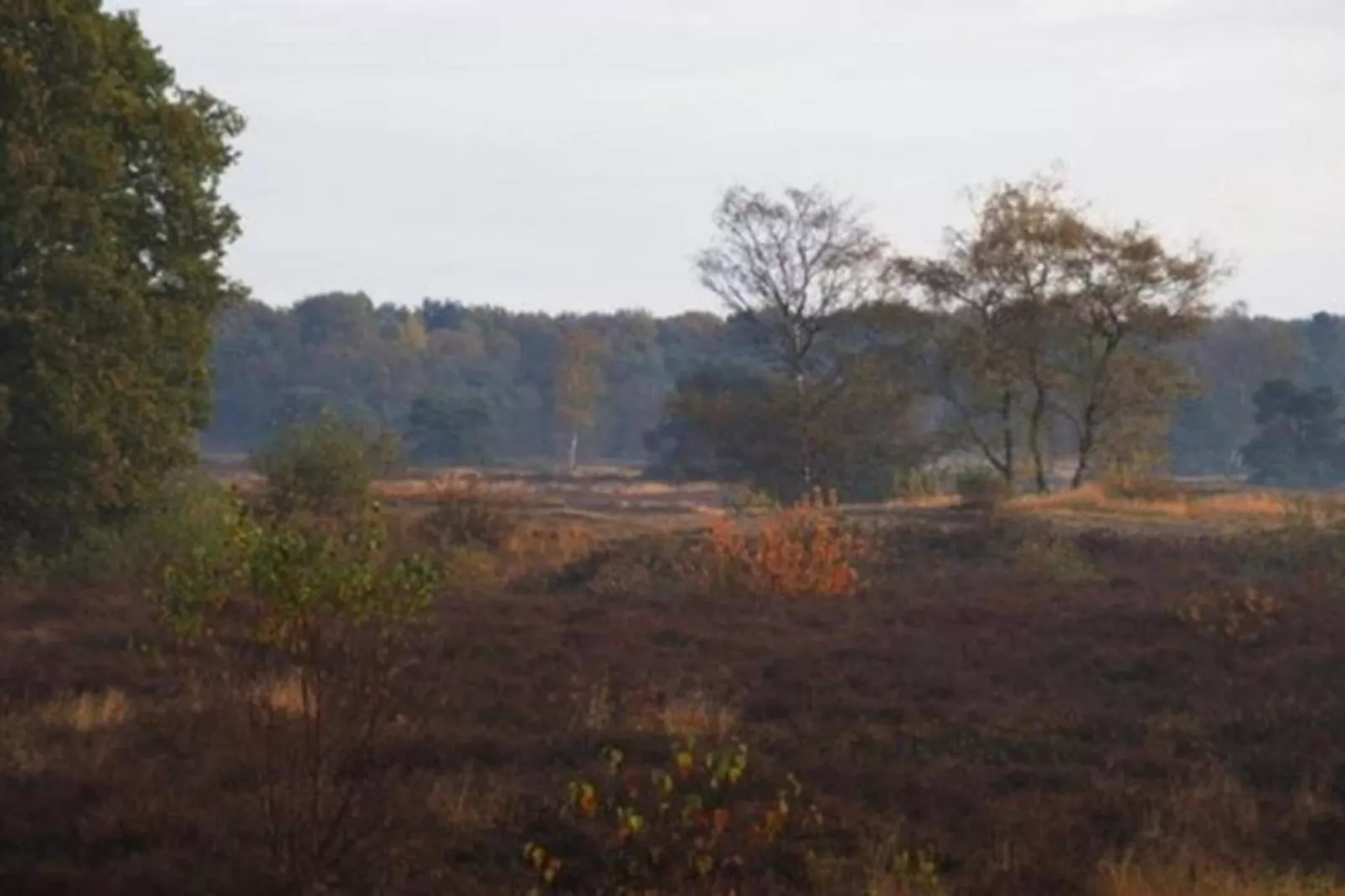 Vakantiepark Sandberghe 13-Zones été à 20 km