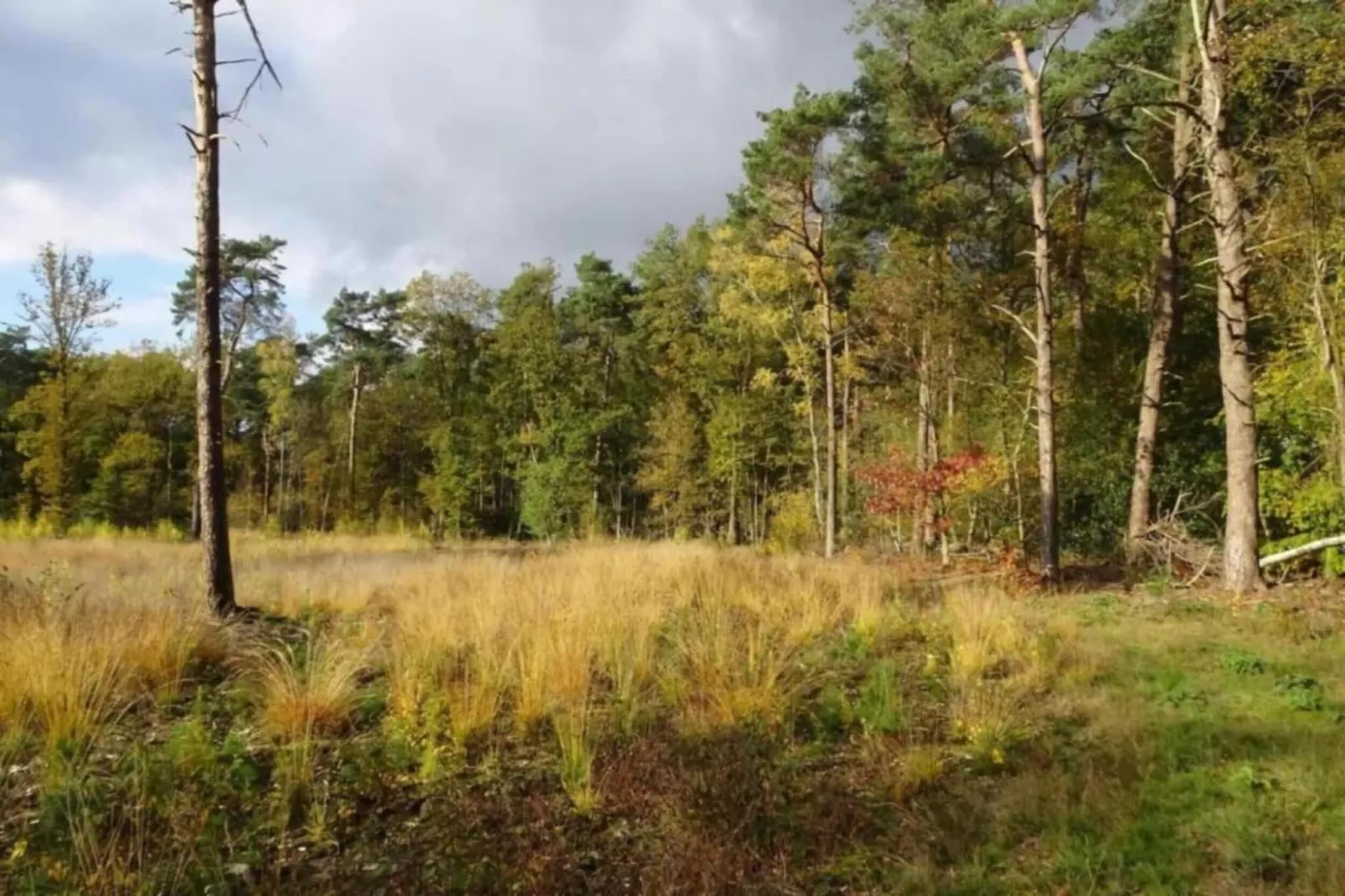 De Weelderik 3-Areas within 20km in summer