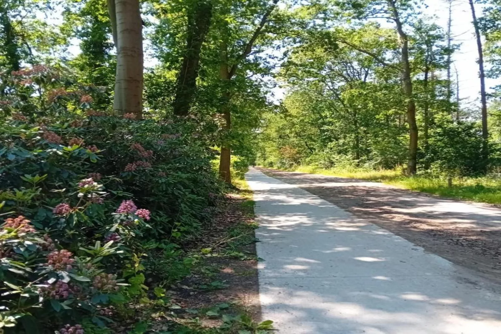 Residence De Eese 26-Areas within 20km in summer
