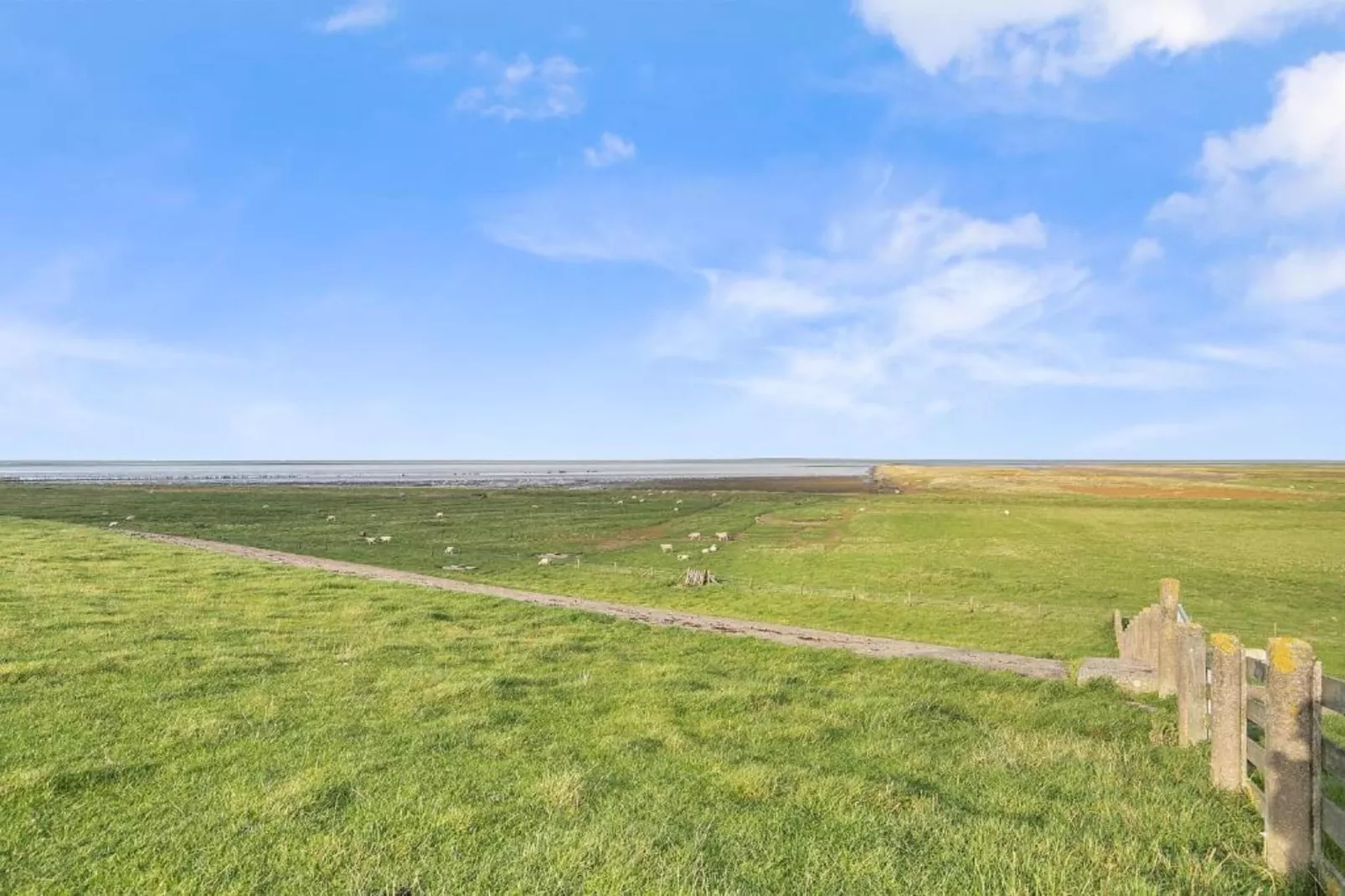 Friese Meren Villa's 21-Areas within 20km in summer
