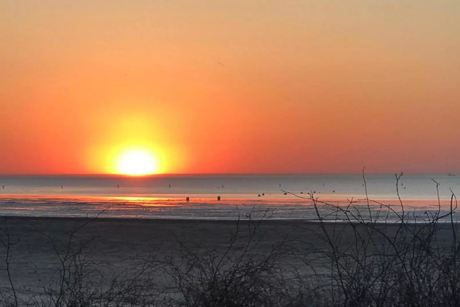 Neue Ferienwohnung in Cuxhaven-Areas within 20km in summer