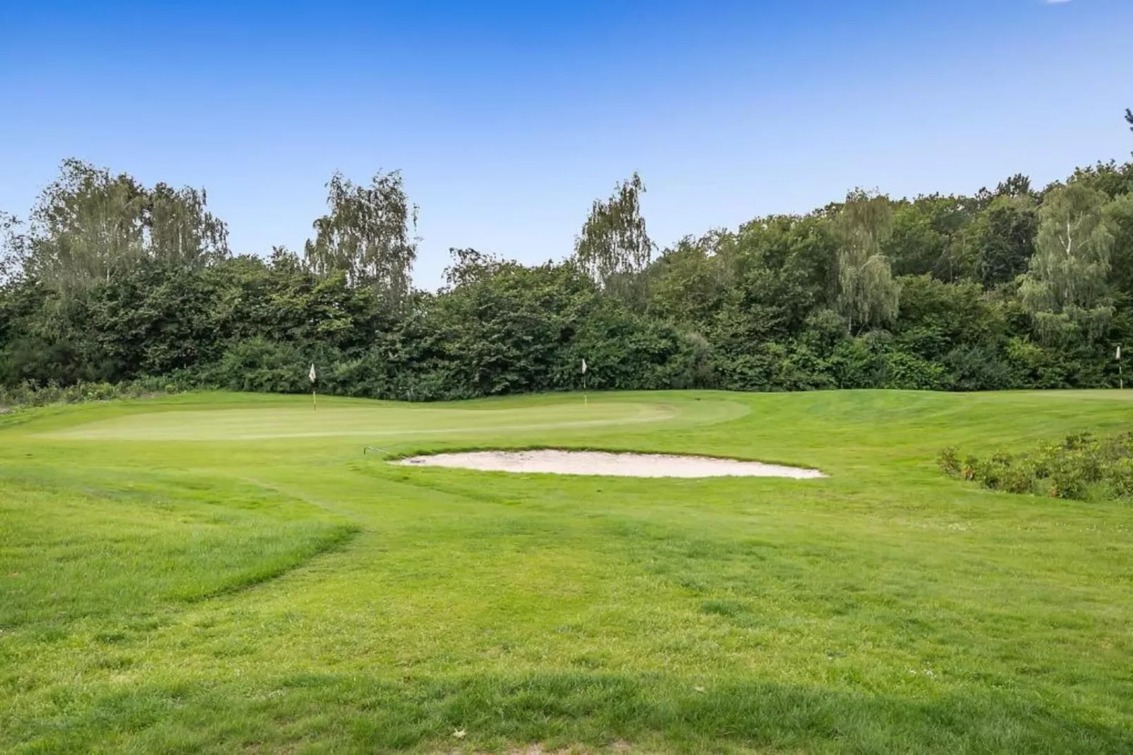 Resort Drentse Weelde 1-Areas within 20km in summer