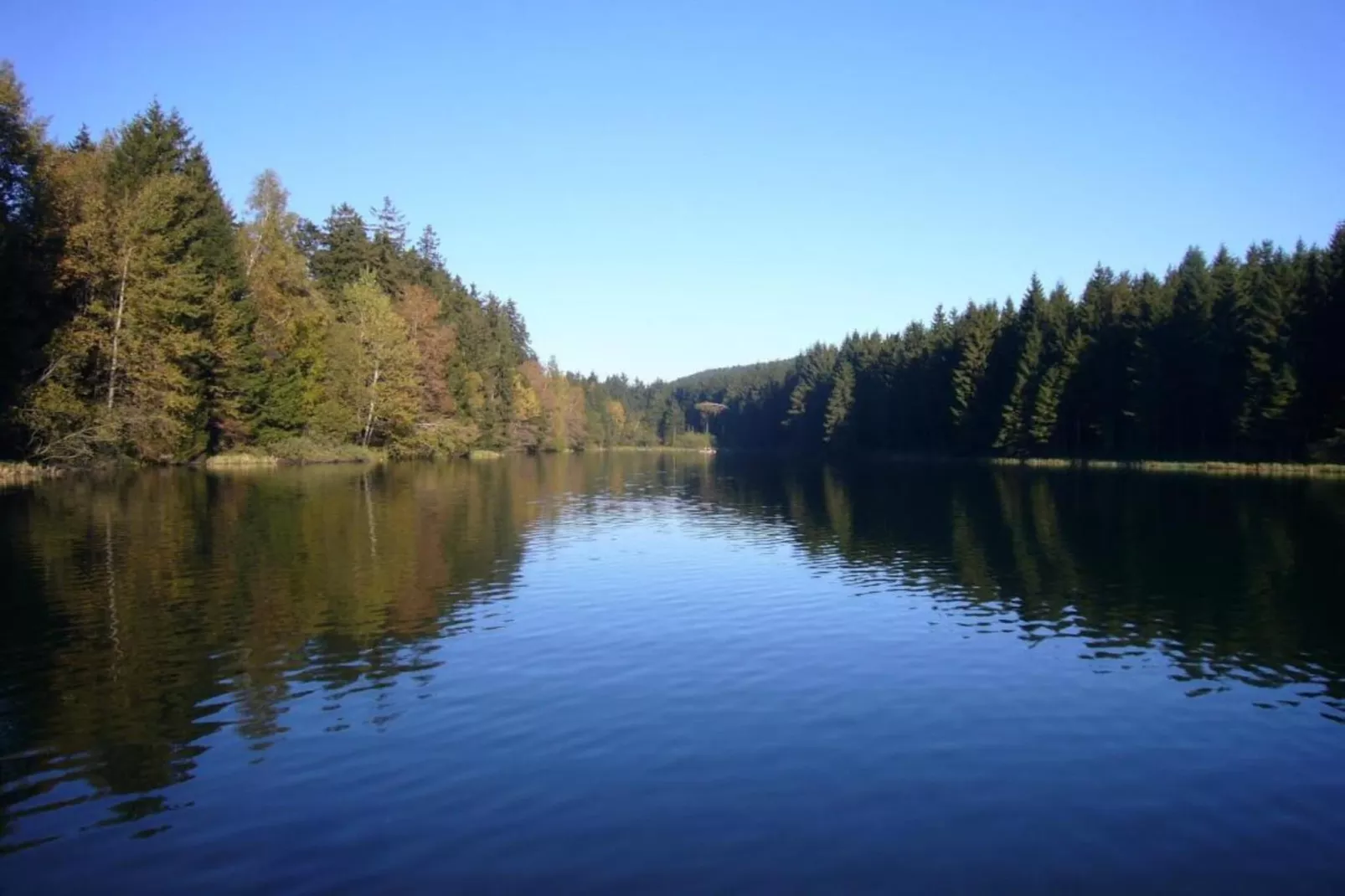 Ferienwohnung Bockwiese-Hahnenklee-Areas within 20km in summer