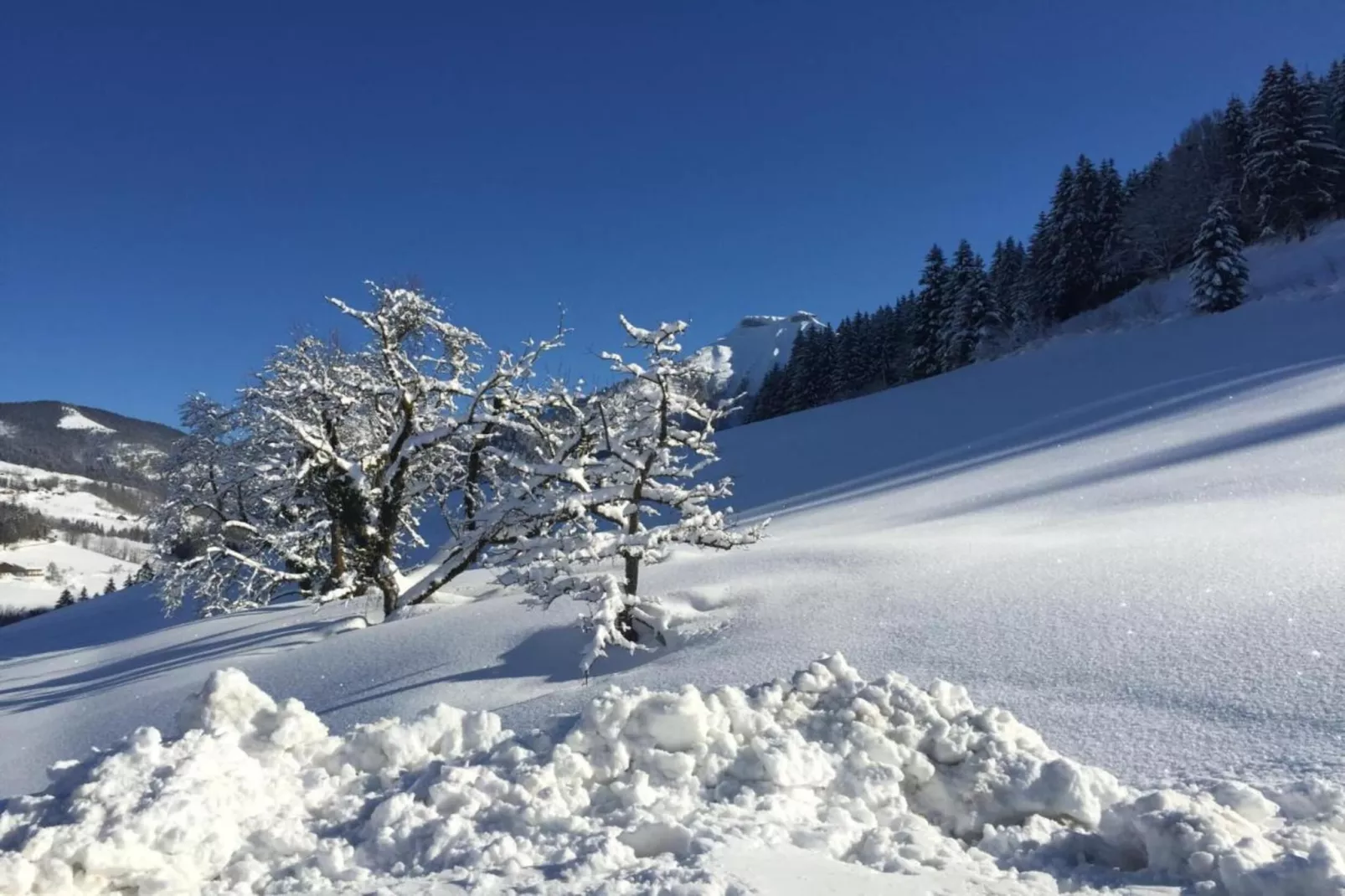 Felbertauern-Area within 20km in winter