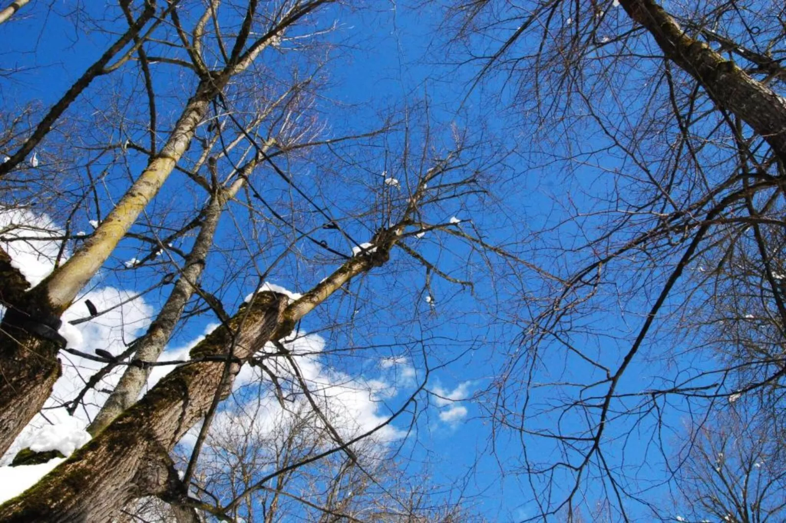 Le Plejadi Bilo 2 sr-Area within 20km in winter