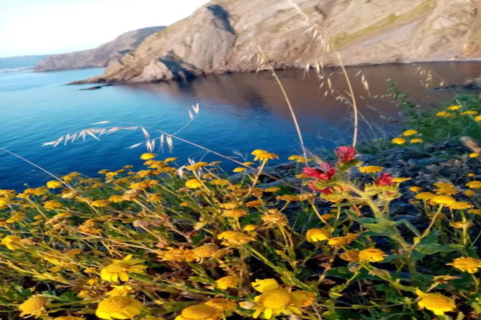Village des Aloes 5-Areas within 20km in summer