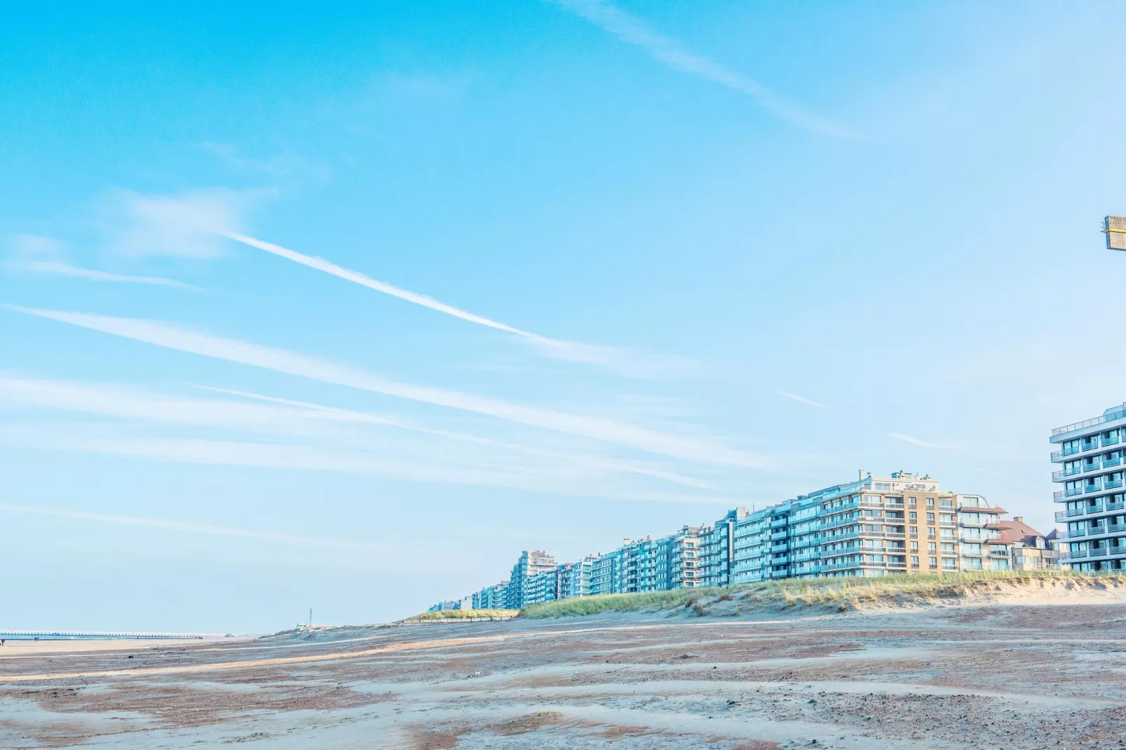 VELASQUEZ 103-Areas within 1km in summer