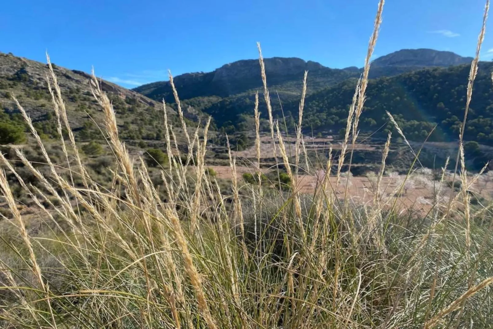 Villa Raprodet-Zones été à 20 km