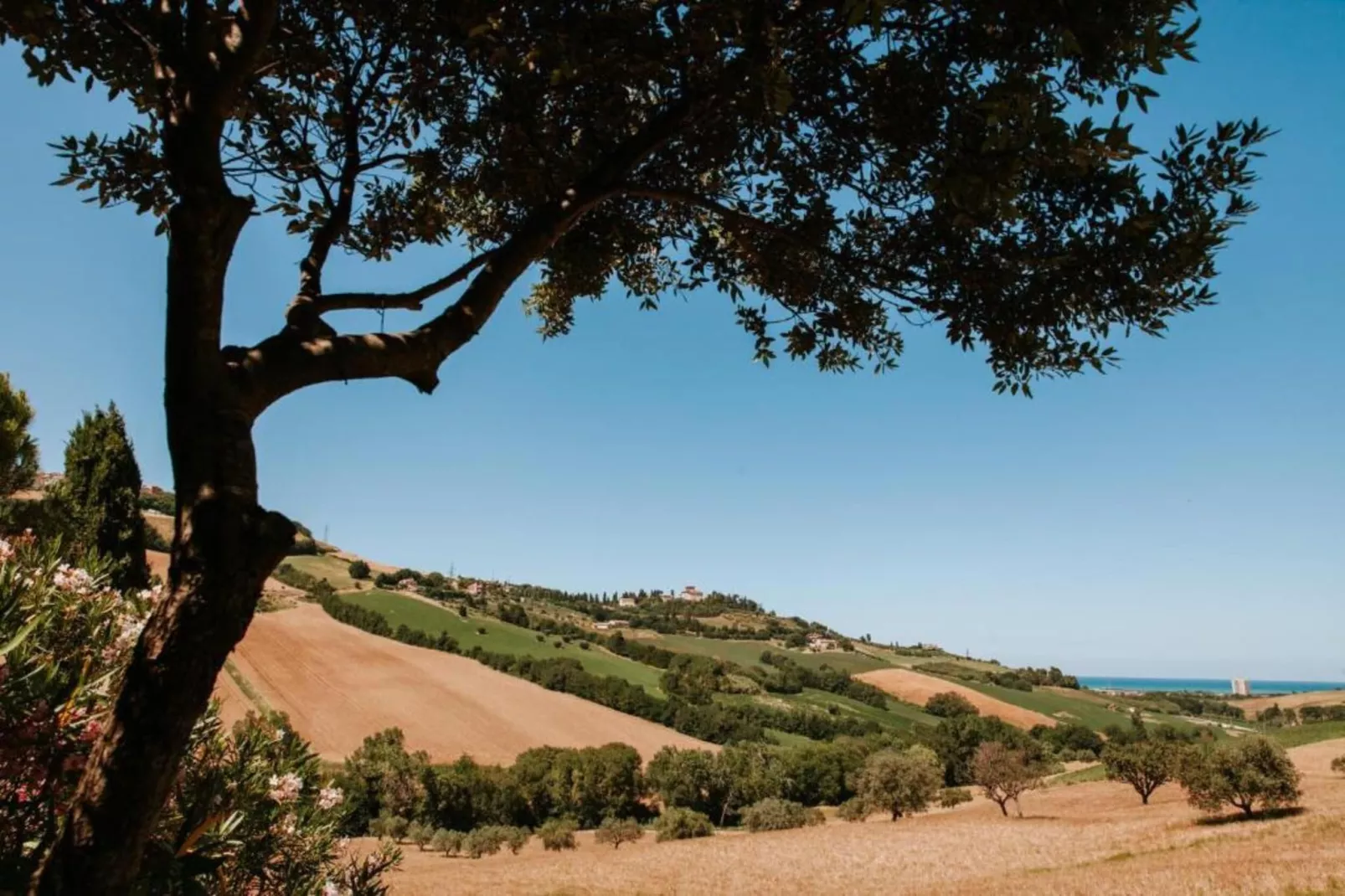 Pepe-Areas within 20km in summer