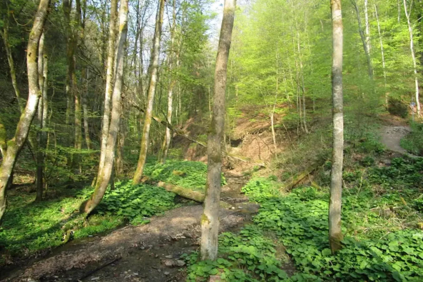 Appartement Heideblick-Areas within 1km in summer
