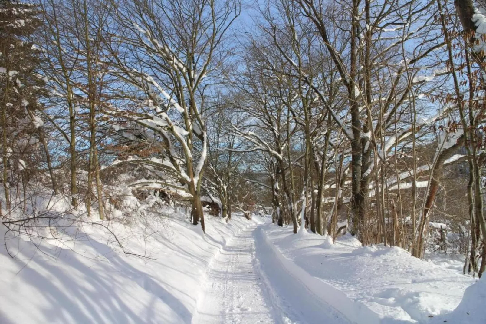 Ferienwohnung Thale-Area within 5km in winter
