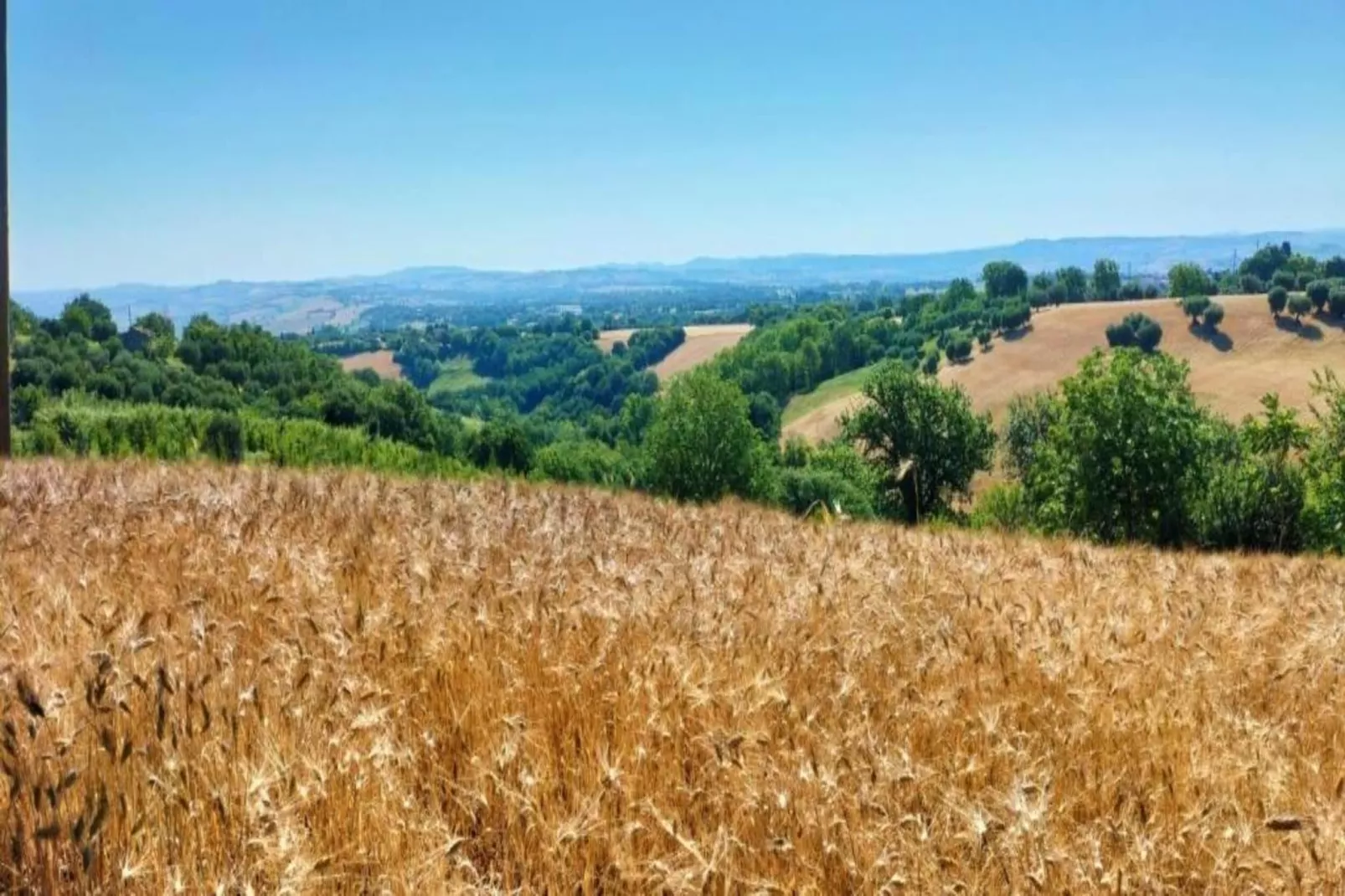 Binnella 10-Areas within 20km in summer