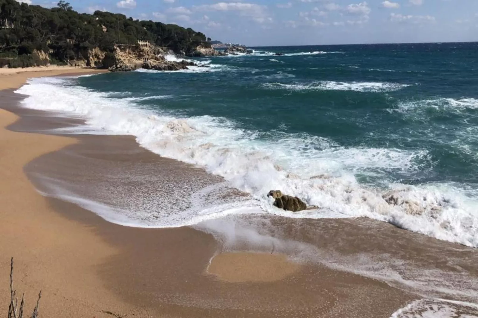 CAMPING INTERPALS- Bungalow Sa Riera-Areas within 1km in summer