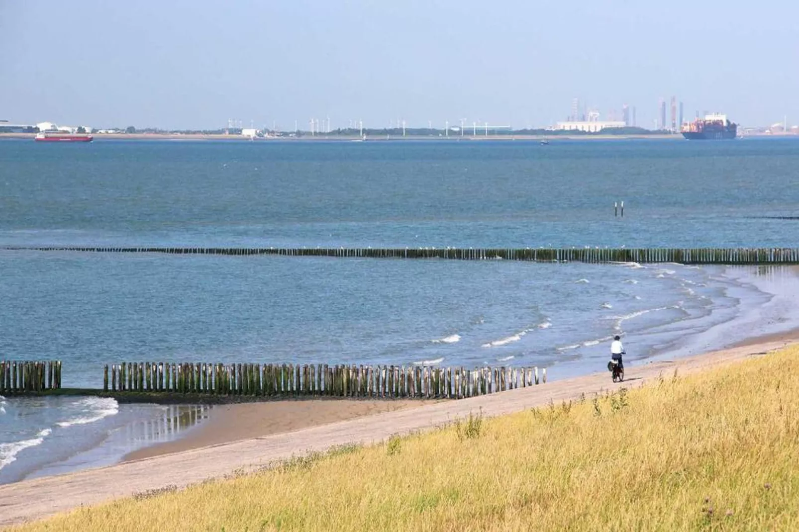 Scheldeveste 163 Zwin Breskens-Areas within 20km in summer