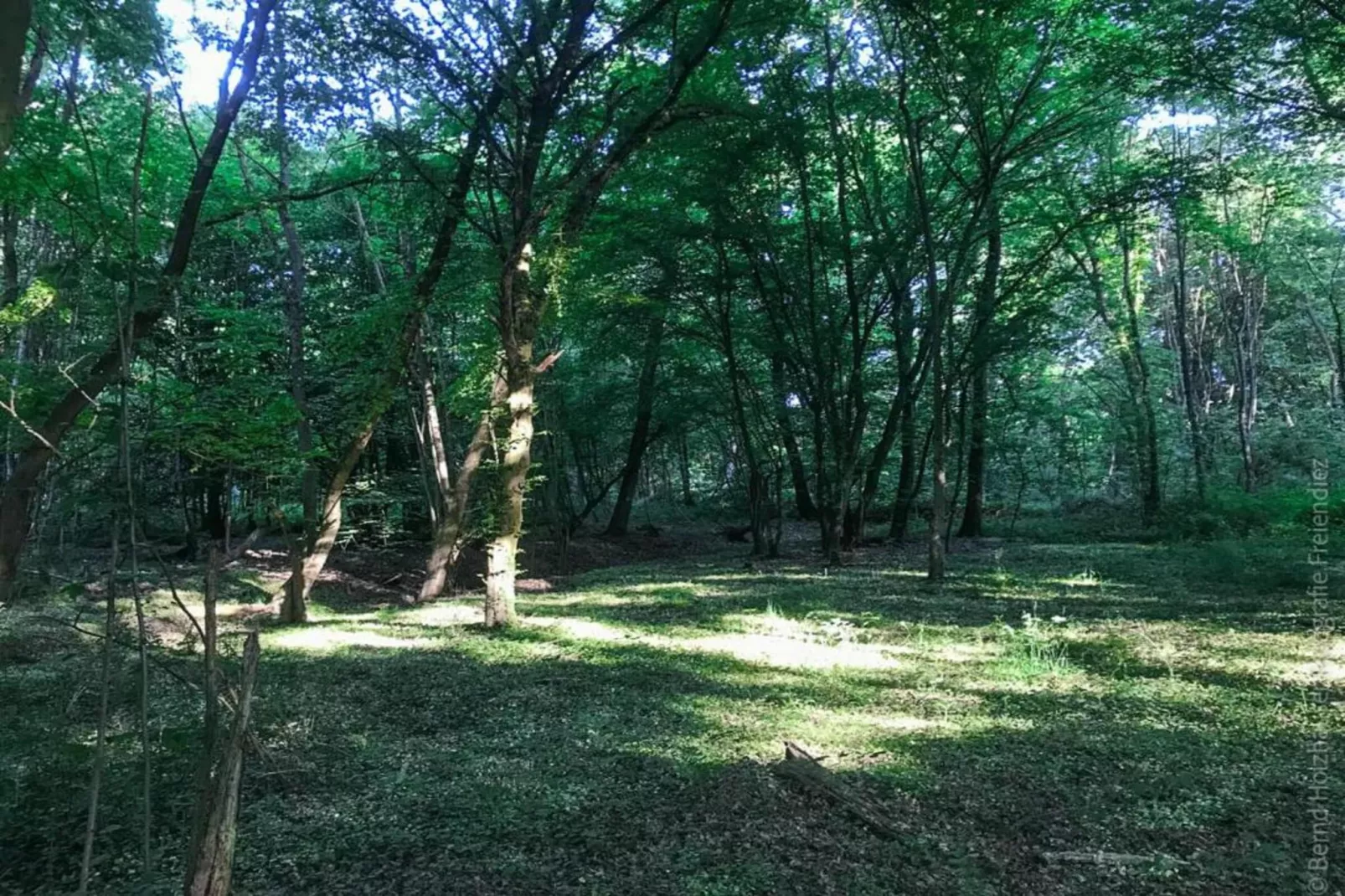 Ferienwohnung zum Zaubergarten-Areas within 20km in summer