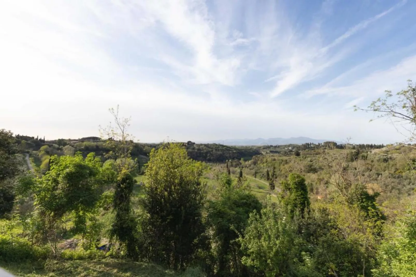 Giuditta Sei-Areas within 5km in summer