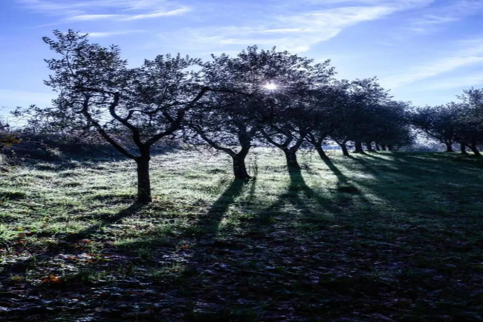 Le Piane-Areas within 20km in summer