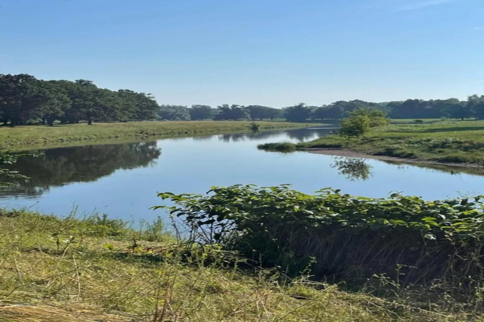Apartment Eilenburg-Gebiete Sommer 20 km