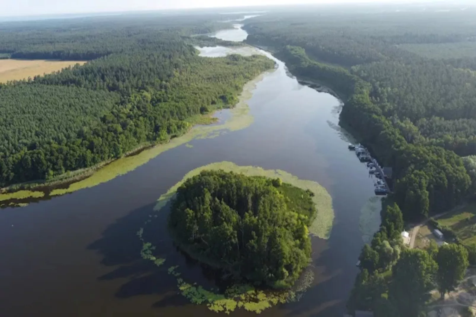 Reiher 18-Areas within 1km in summer