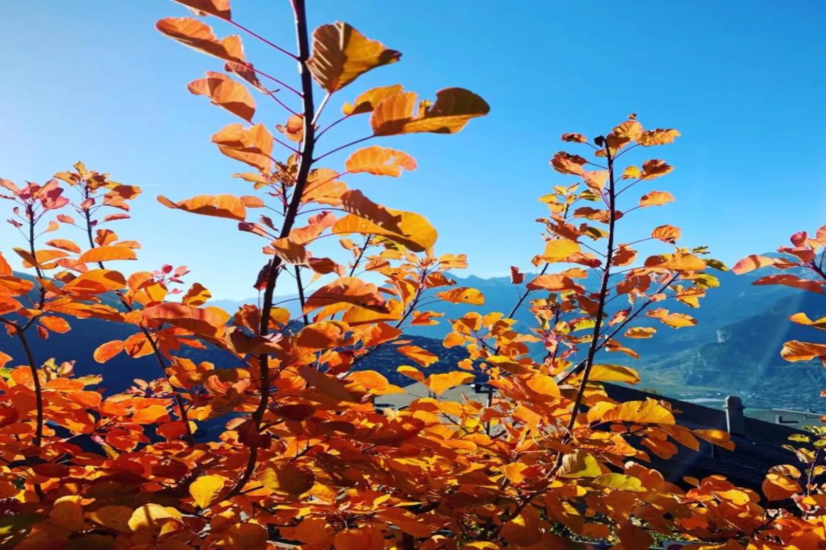 Fontanettaz V 014 - MOUNTAIN apartment 4 pers-Gebiete Sommer 20 km