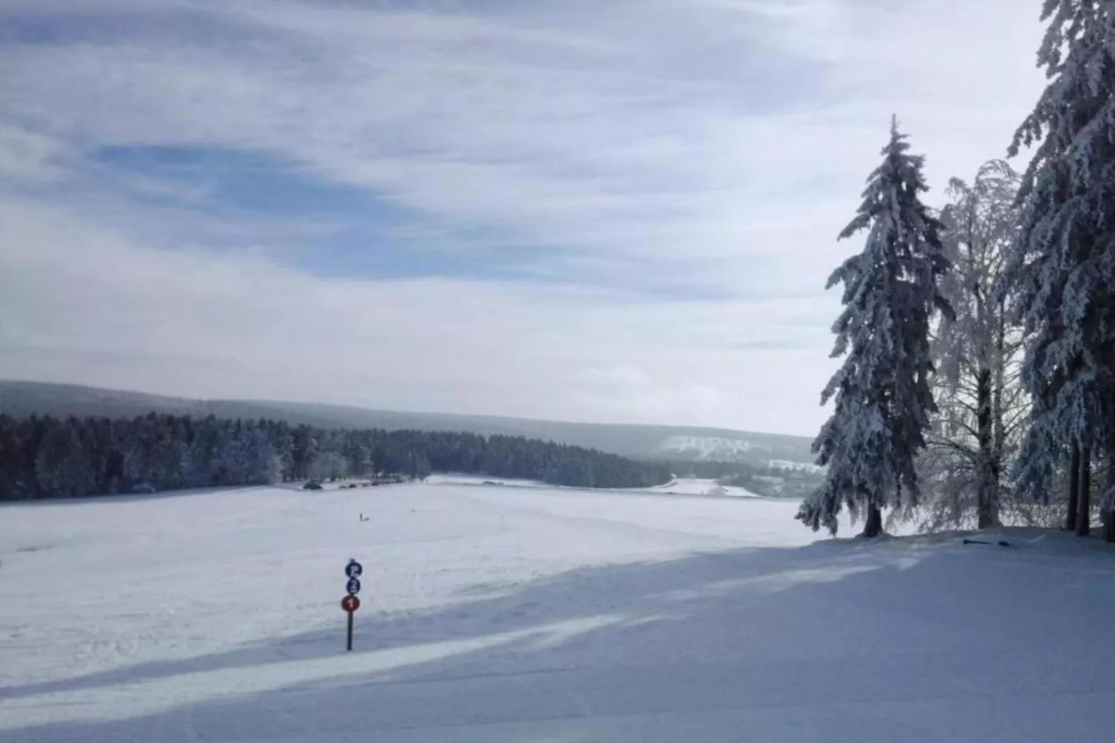 Diablerets D 051 - MOUNTAIN apartment 6 pers-Area within 5km in winter