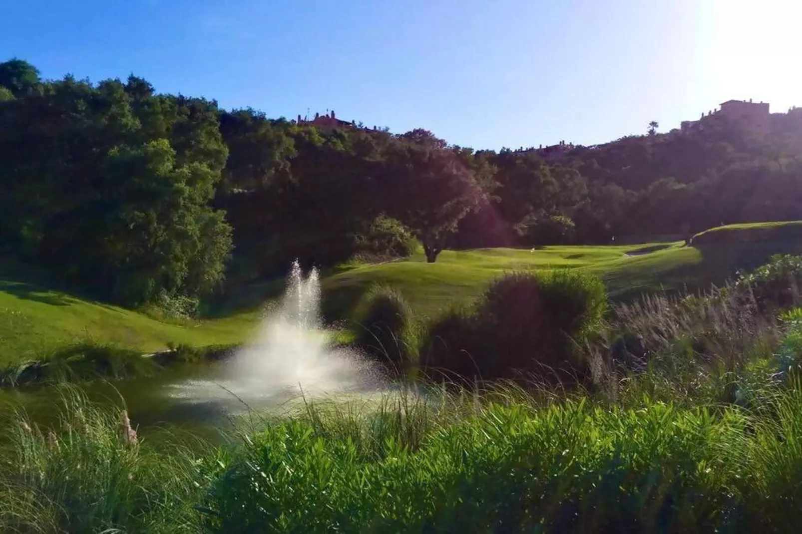 Floresta Sur 9-1-Areas within 20km in summer