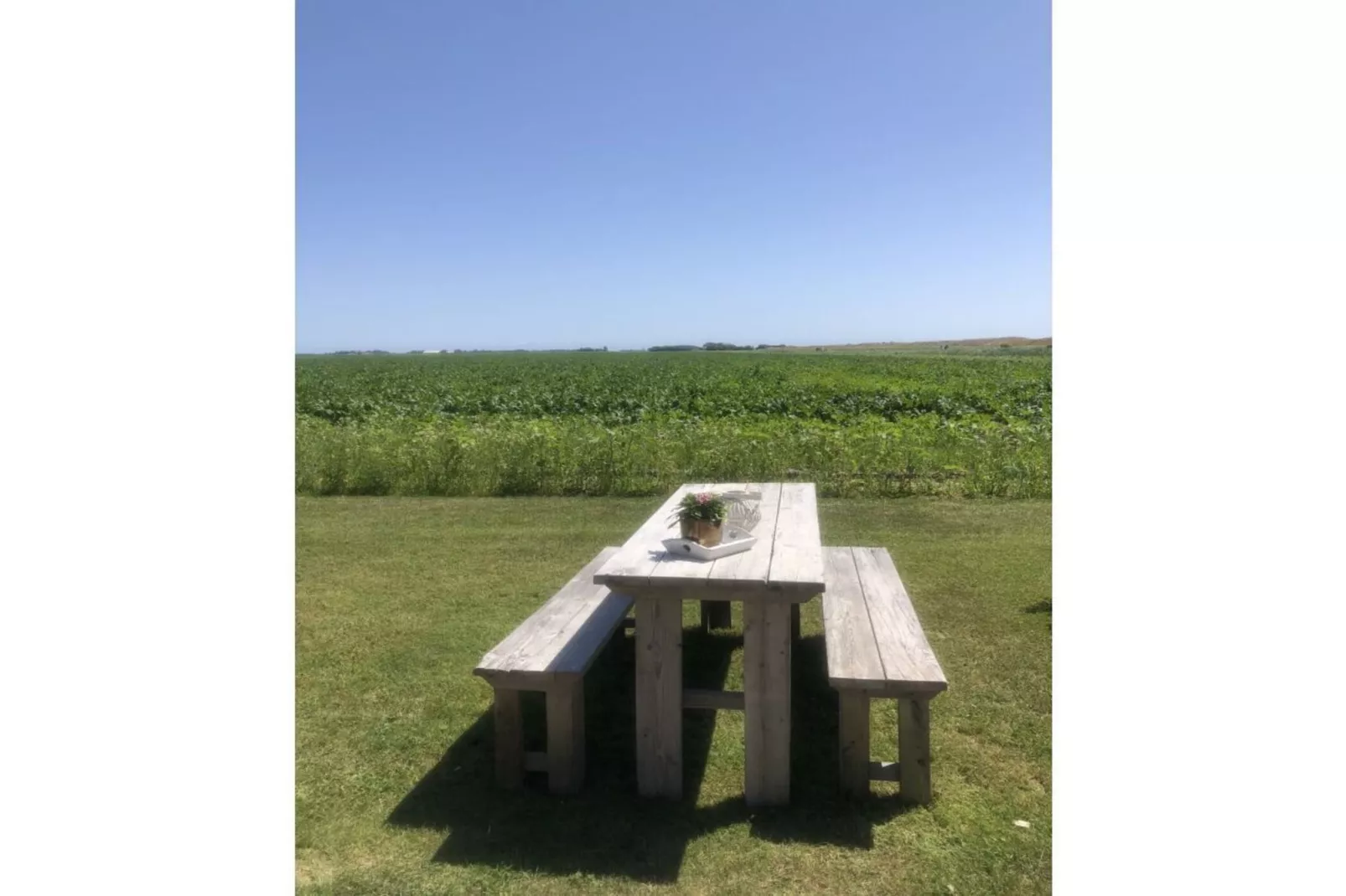 495316-Terrasse/Balkon