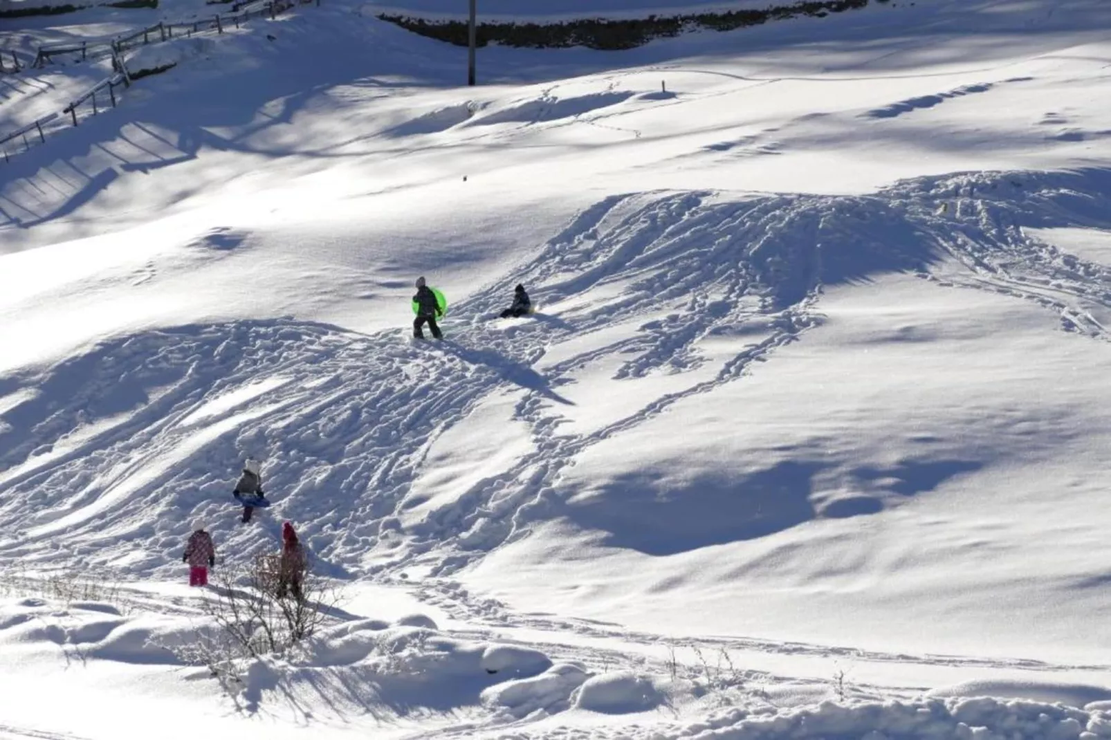 Haus Alpenstern Wohnung Distel-Area within 20km in winter