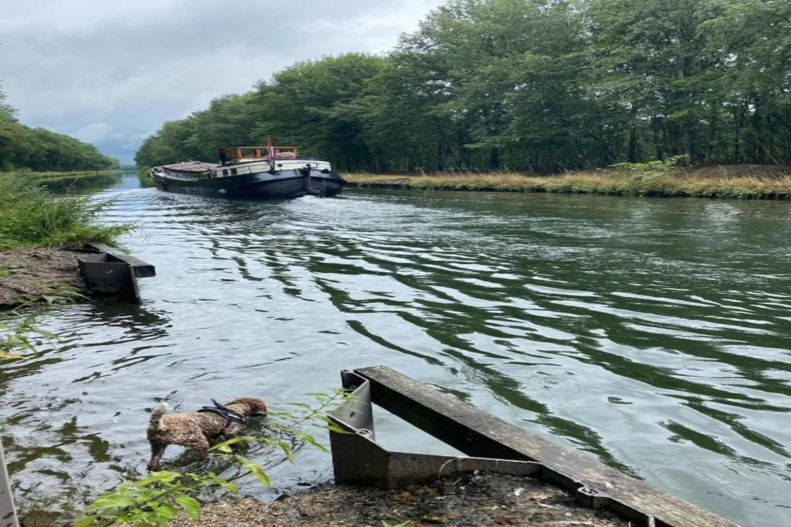Luxe O'Hara-Areas within 20km in summer
