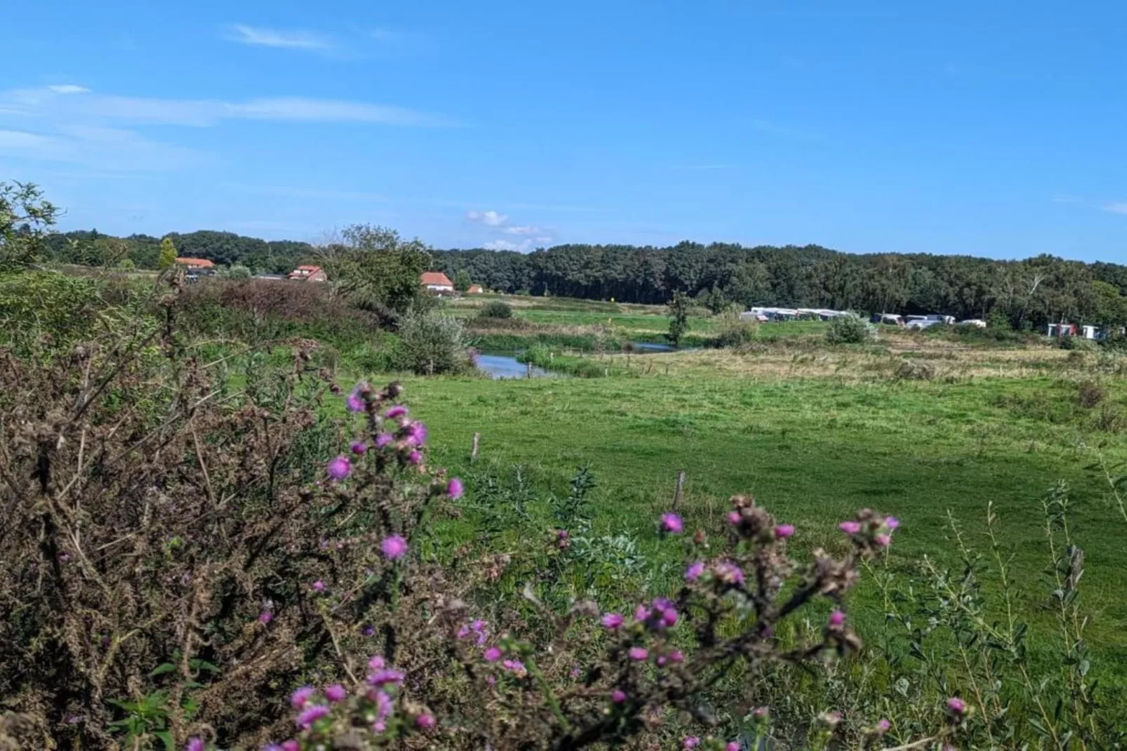 Vakantie bij Meeussen - Molendal 4-Areas within 20km in summer