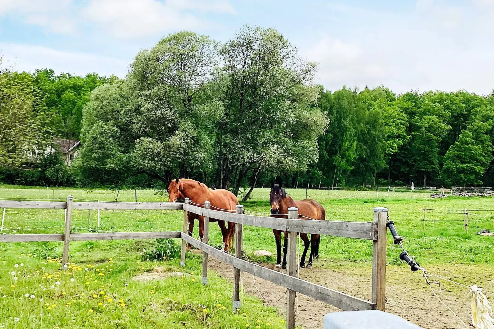 Maison de vacances pour 4 a ALLINGSÅS, SVERIGE-Non étiqueté