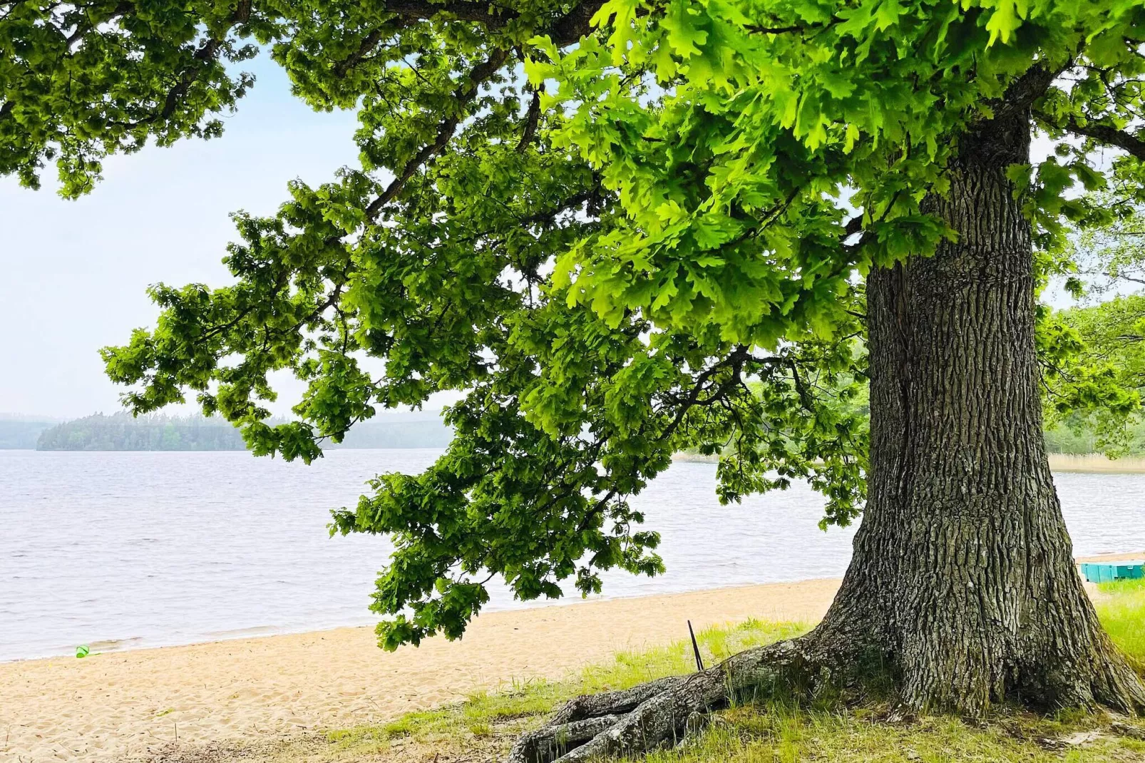 Maison de vacances pour 4 a ALLINGSÅS, SVERIGE-Non étiqueté